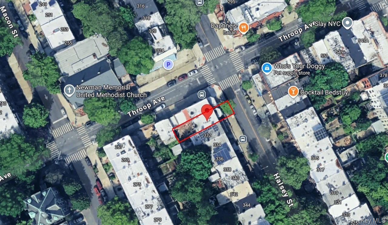 Commercial Sale Halsey  Brooklyn, NY 11216, MLS-935875-18