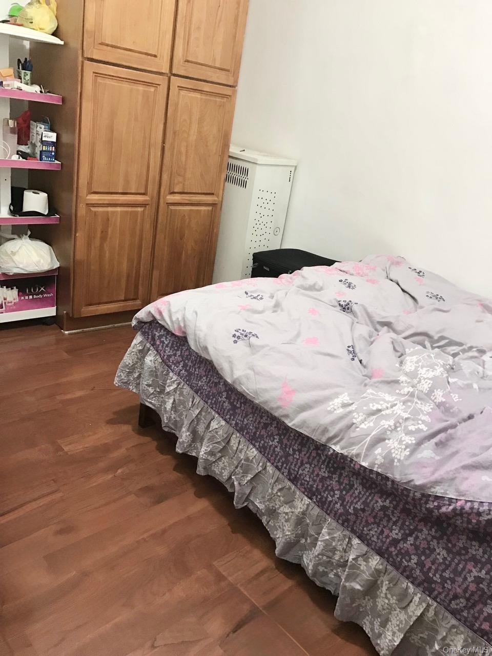 Single Family Alstyne Queens, NY 11368, MLS-935883-5