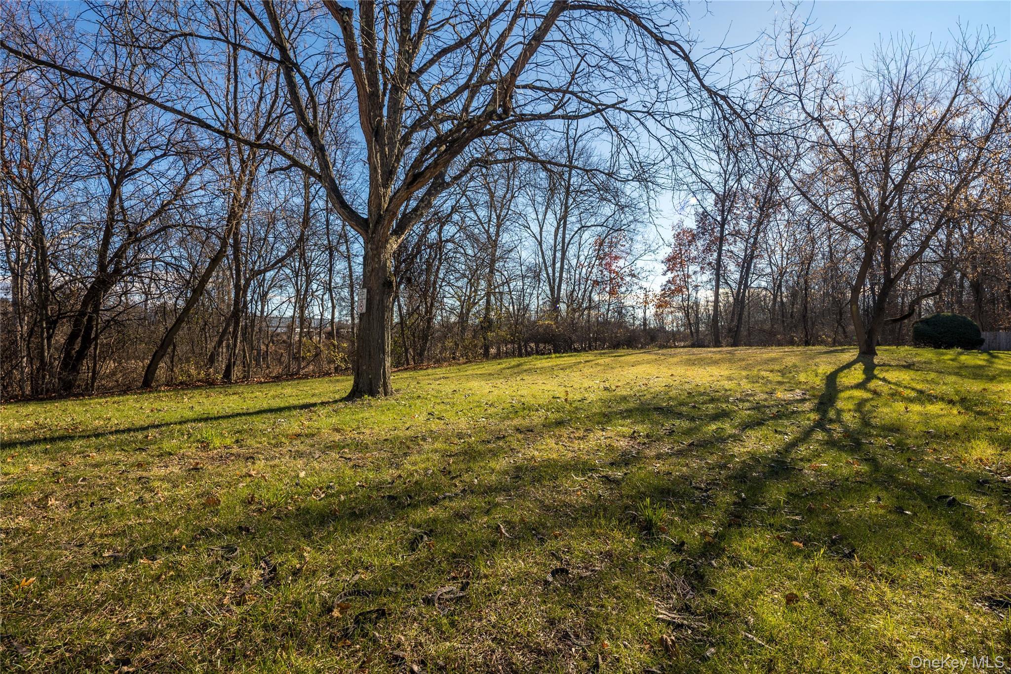 Coop Cooper  Dutchess County, NY 12603, MLS-935948-17