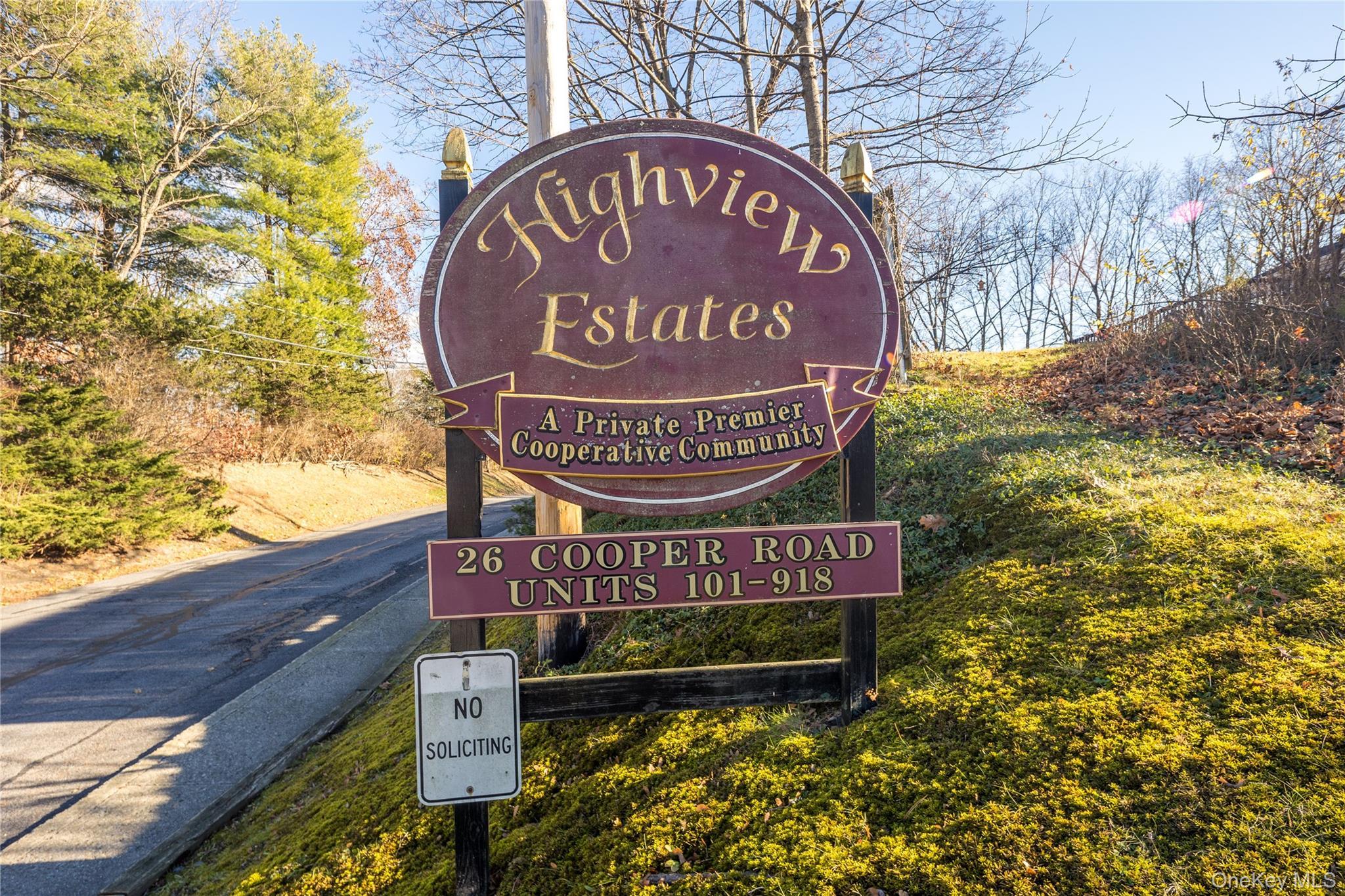 Coop Cooper  Dutchess County, NY 12603, MLS-935948-18