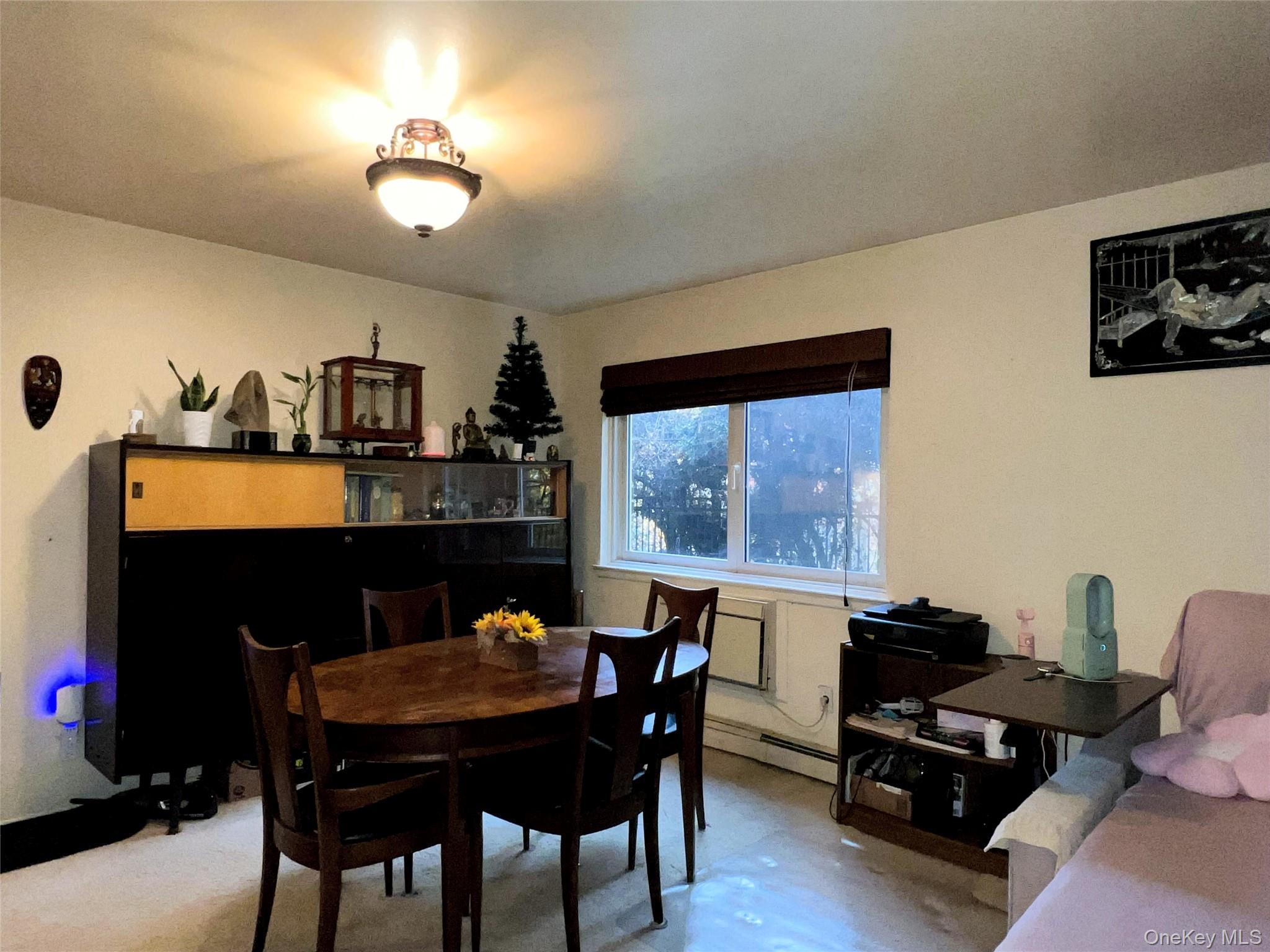 Coop Scenic  Westchester County, NY 10520, MLS-935986-10