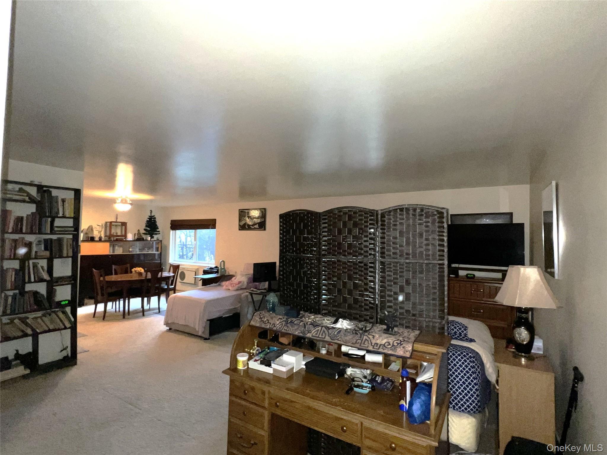 Coop Scenic  Westchester County, NY 10520, MLS-935986-4