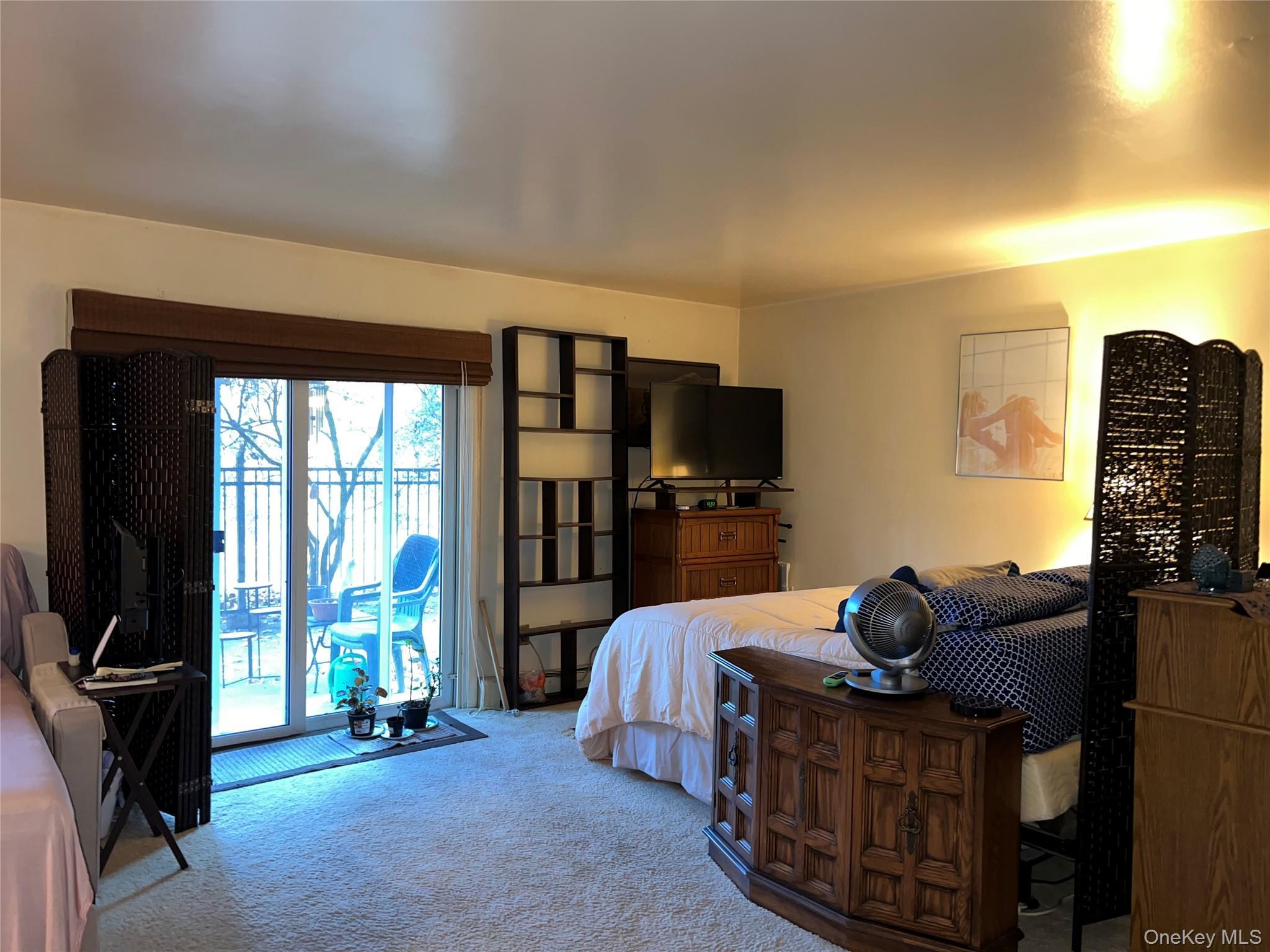 Coop Scenic  Westchester County, NY 10520, MLS-935986-6