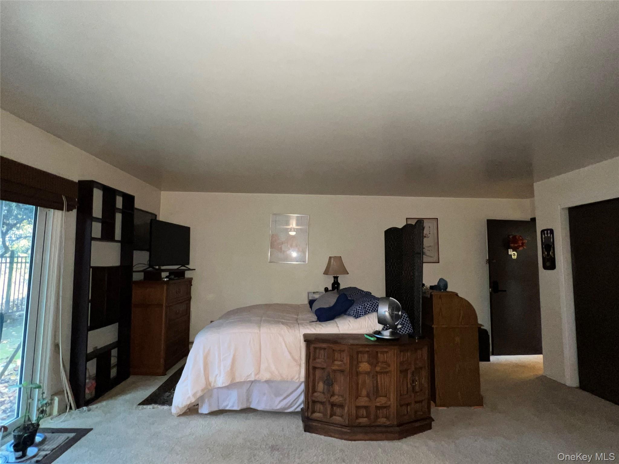 Coop Scenic  Westchester County, NY 10520, MLS-935986-7