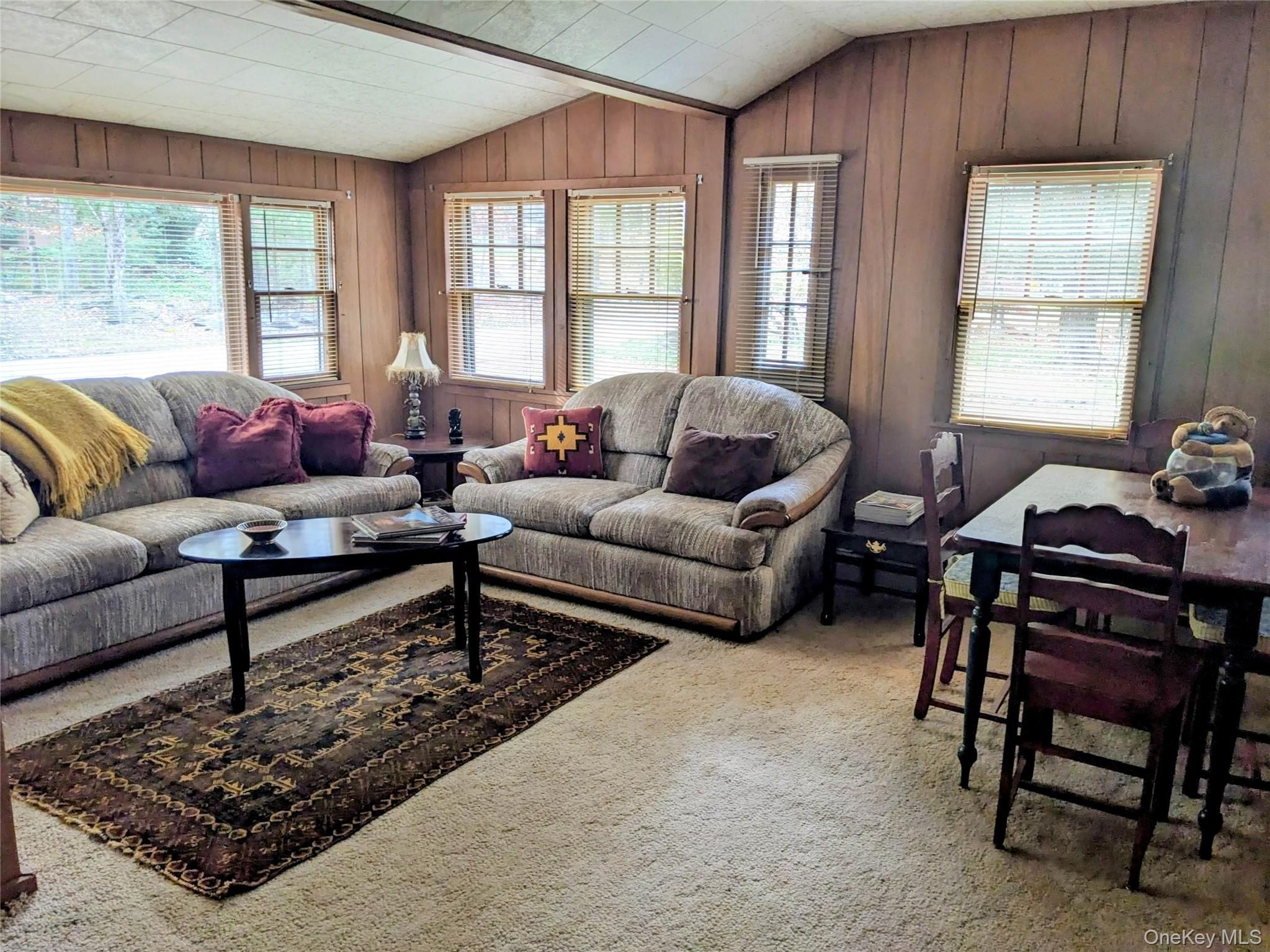 Single Family Mohican Sullivan County, NY 12778, MLS-936025-12