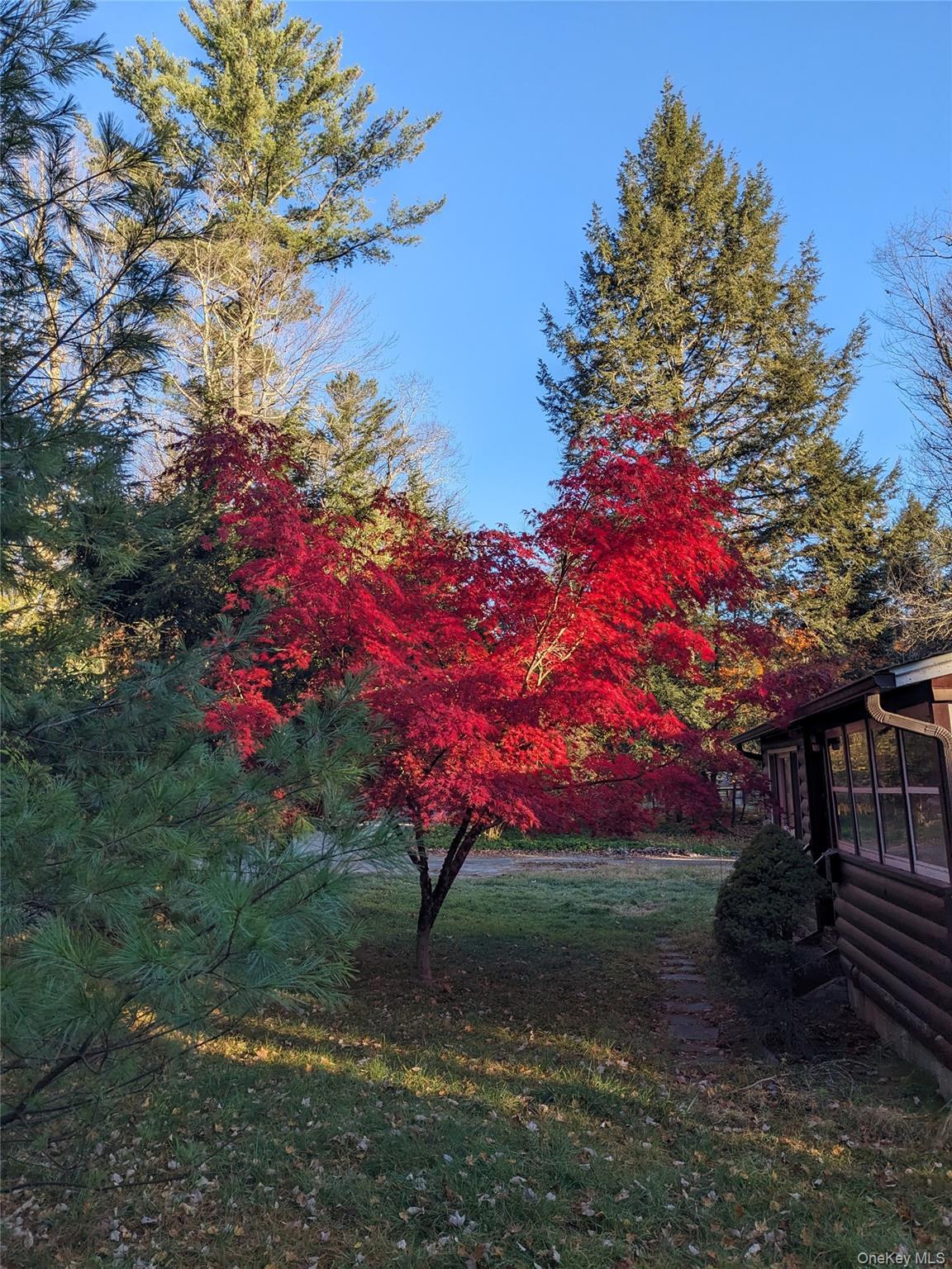 Single Family Mohican Sullivan County, NY 12778, MLS-936025-37