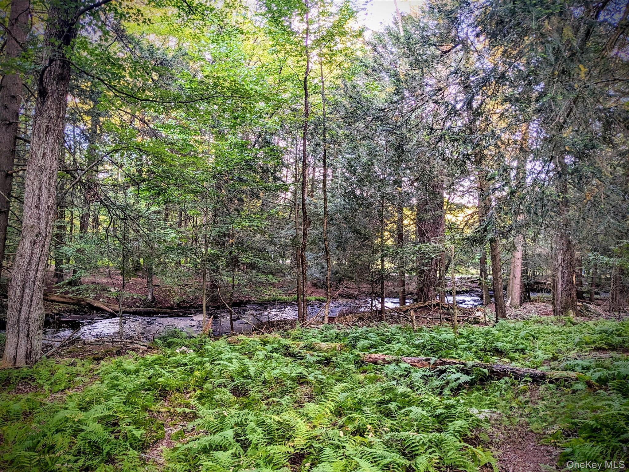 Single Family Mohican  Sullivan County, NY 12778, MLS-936025-41