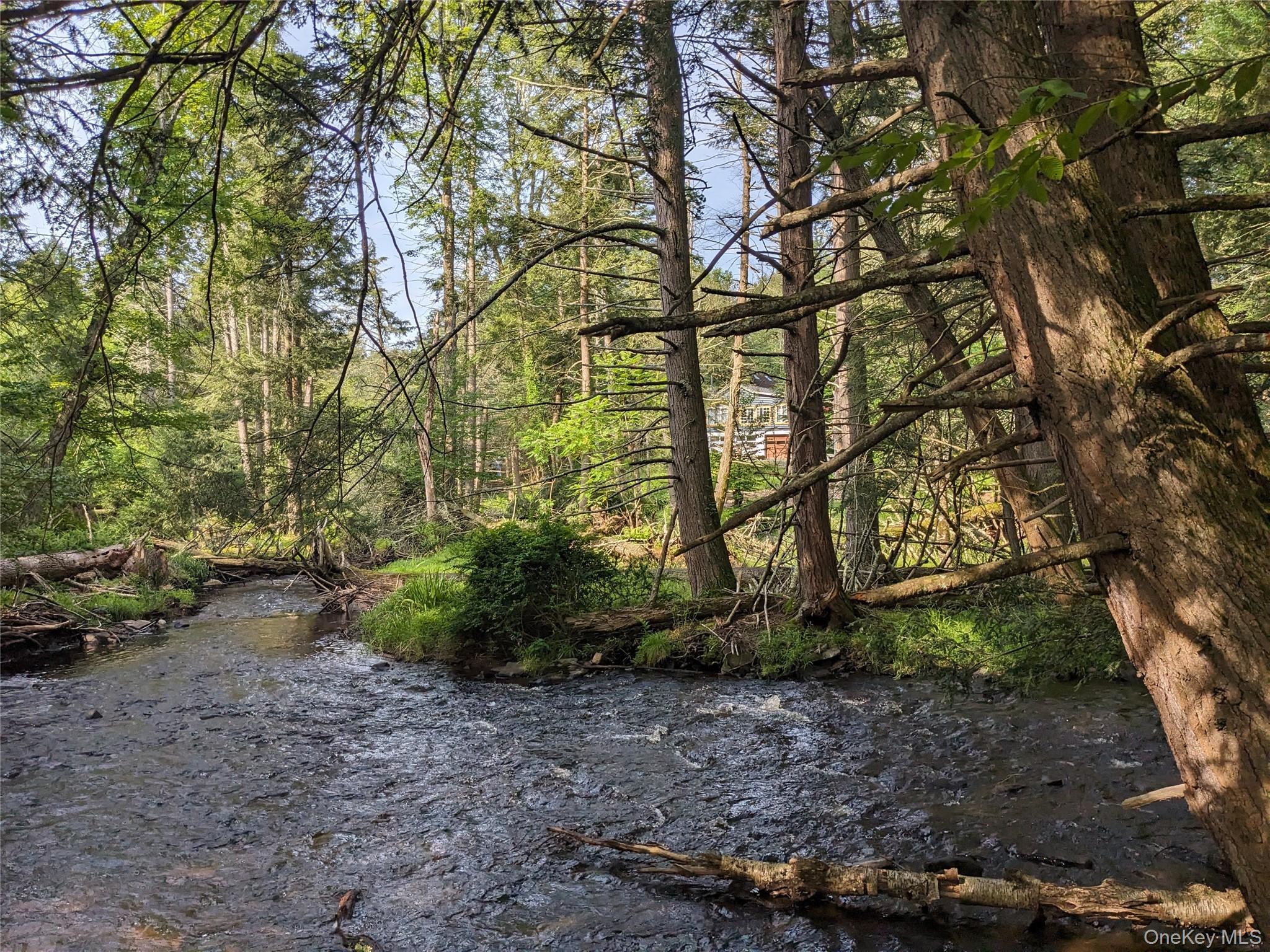 Single Family Mohican Sullivan County, NY 12778, MLS-936025-7