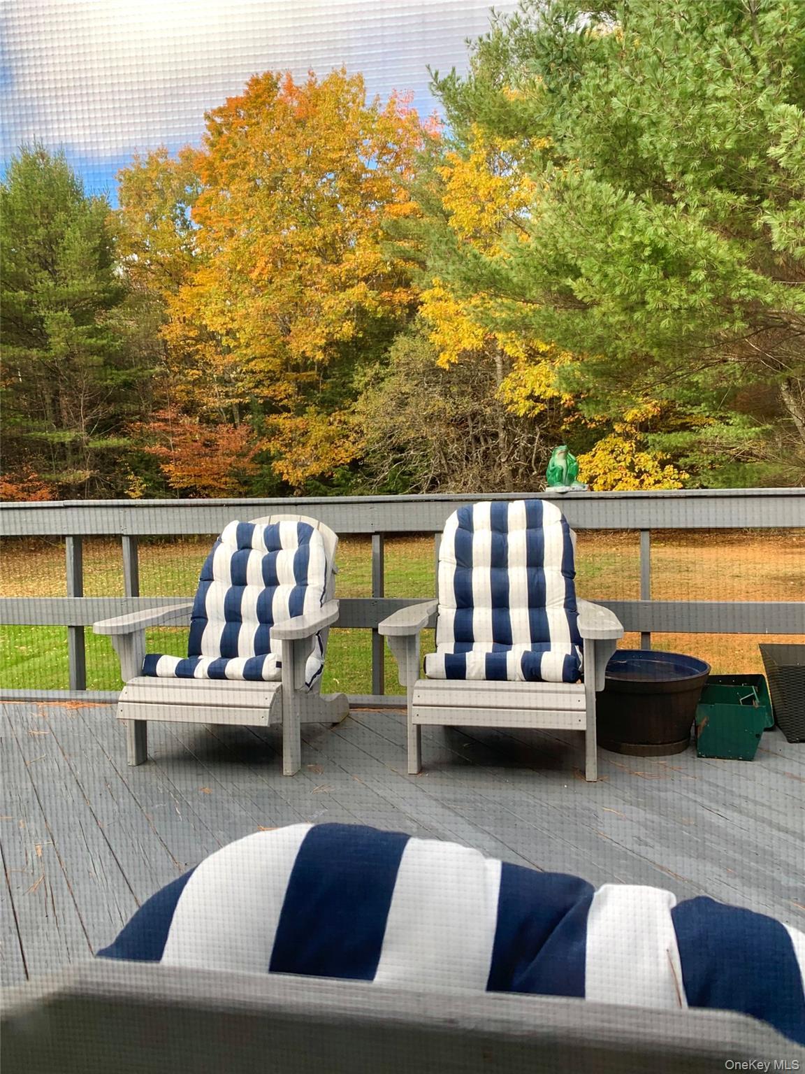 Single Family Campbell  Greene County, NY 12407, MLS-936082-10