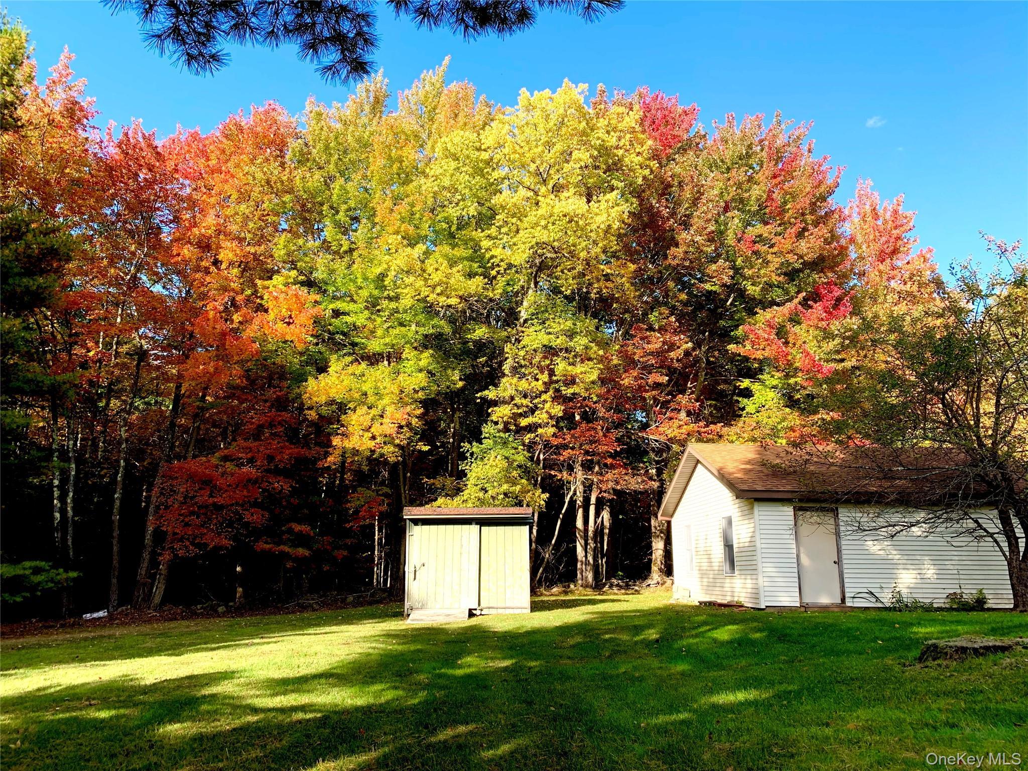 Single Family Campbell  Greene County, NY 12407, MLS-936082-12