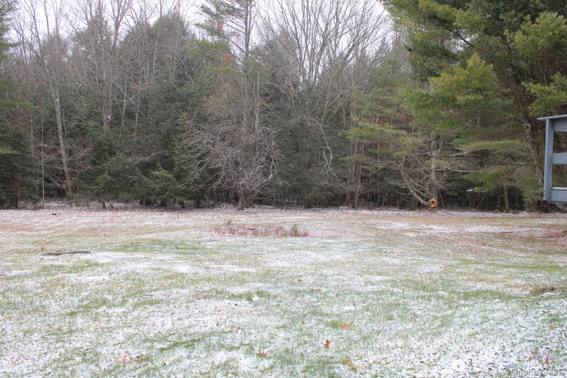 Single Family Campbell  Greene County, NY 12407, MLS-936082-37