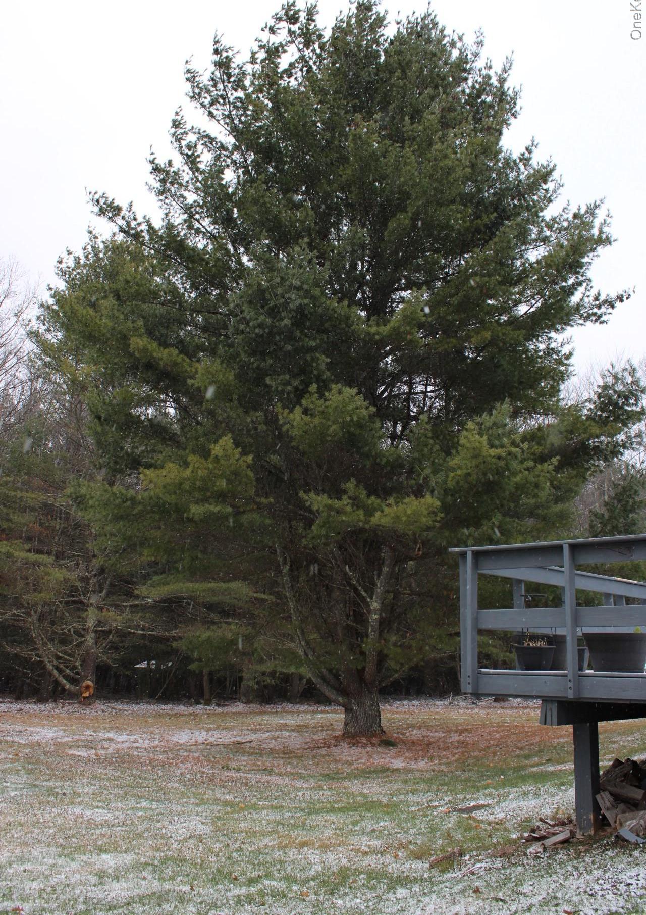 Single Family Campbell  Greene County, NY 12407, MLS-936082-38