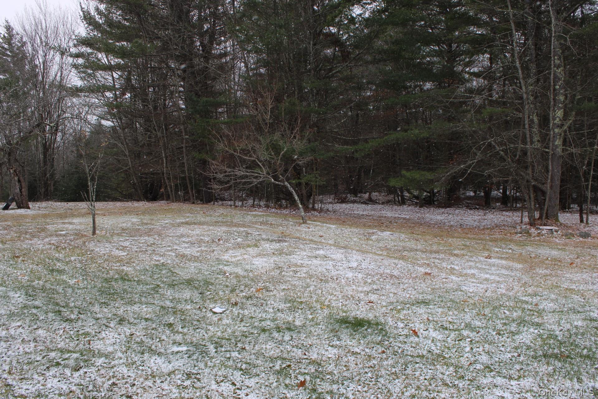 Single Family Campbell  Greene County, NY 12407, MLS-936082-39