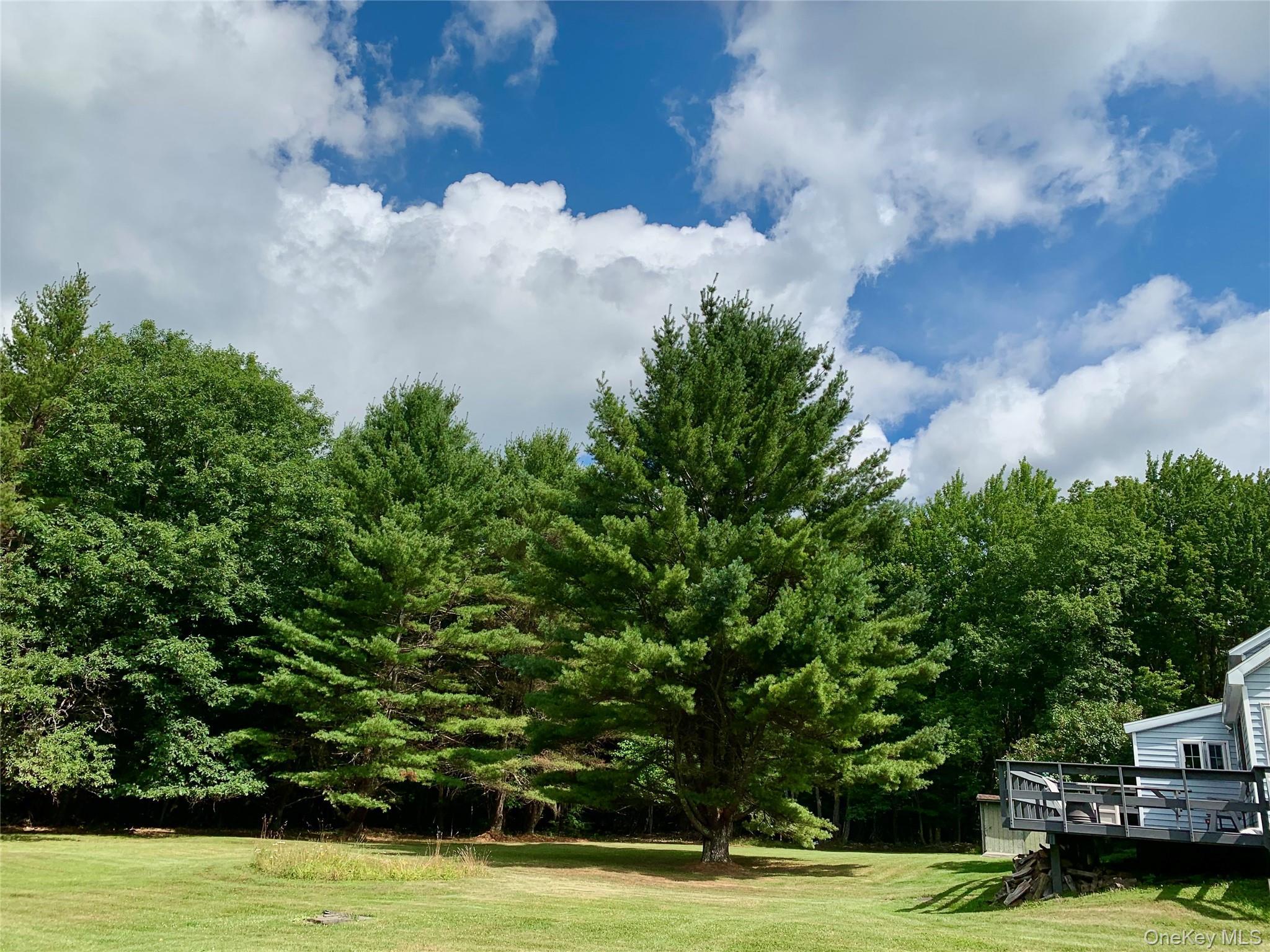 Single Family Campbell  Greene County, NY 12407, MLS-936082-47