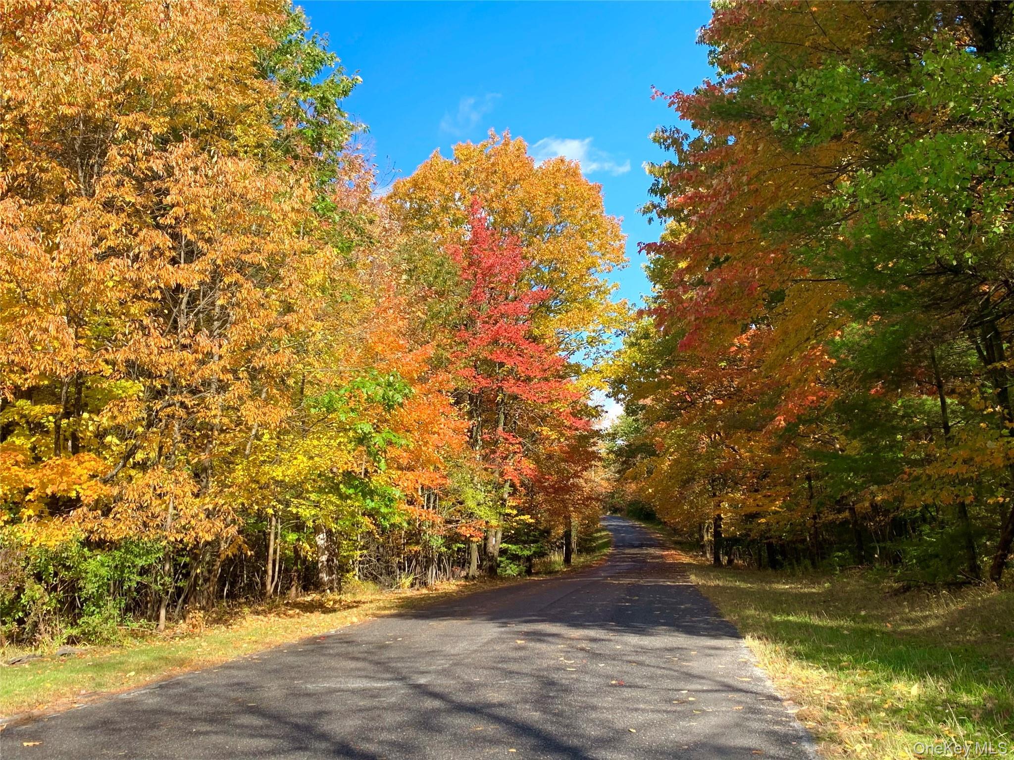 Single Family Campbell  Greene County, NY 12407, MLS-936082-7