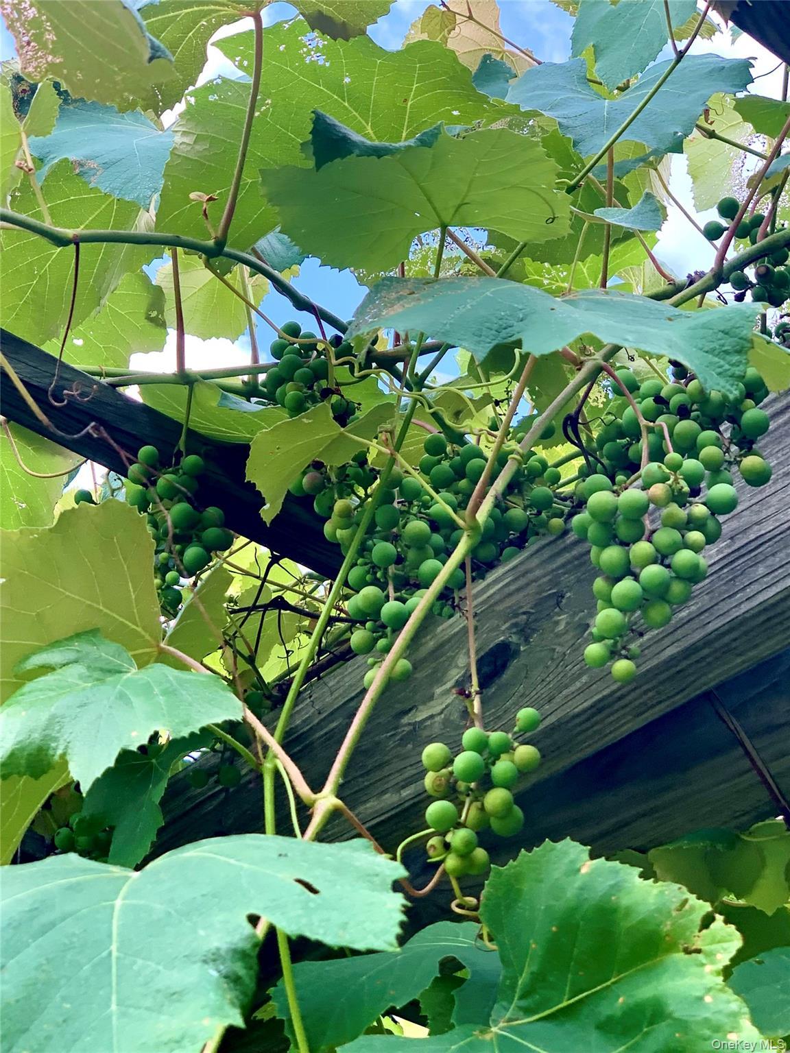 Single Family Campbell  Greene County, NY 12407, MLS-936082-8