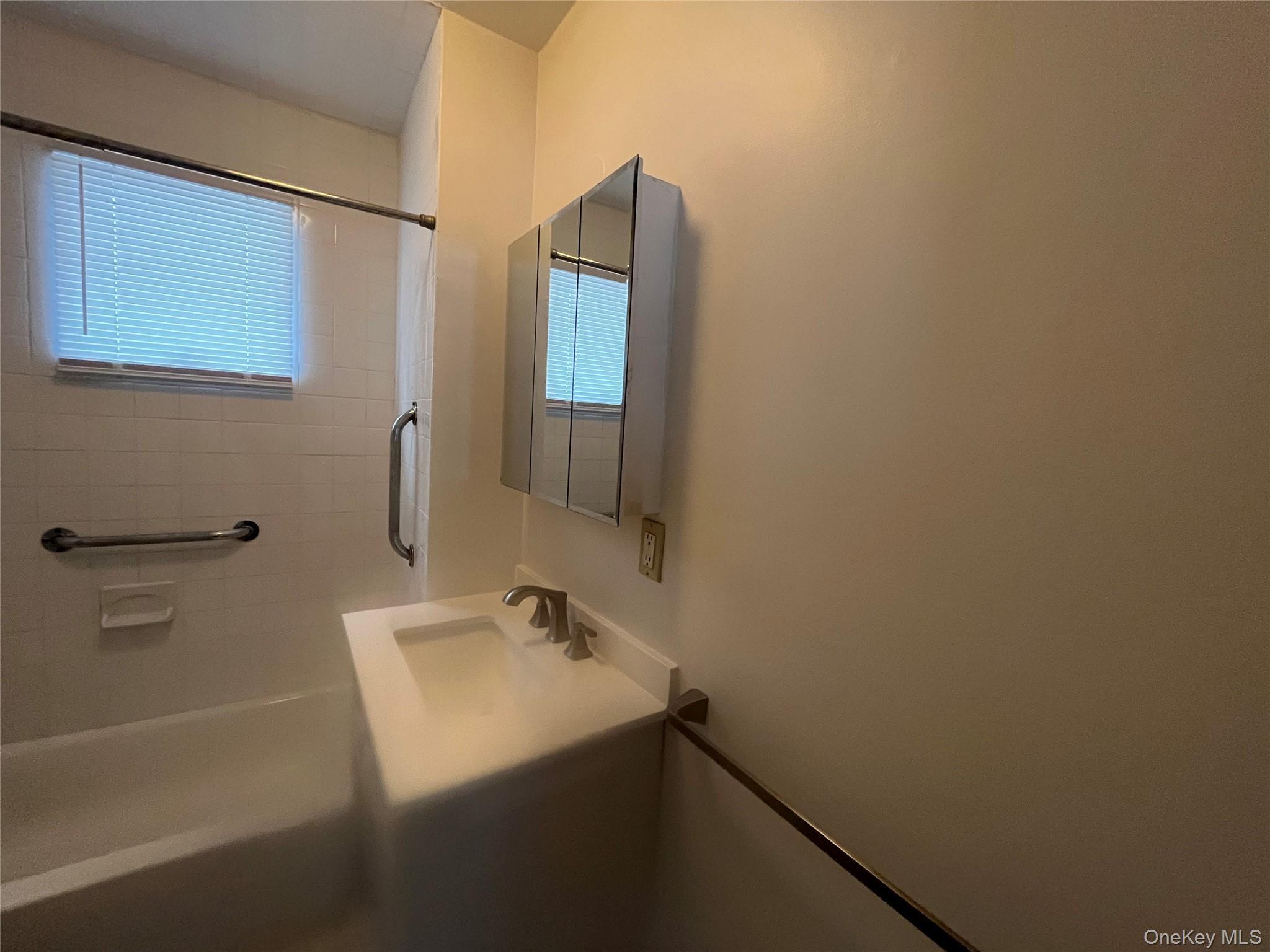 Single Family Beechwood Nassau County, NY 11050, MLS-936374-8