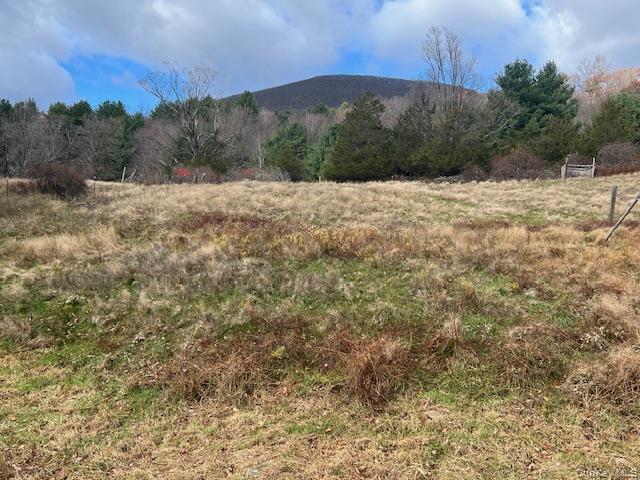 Single Family Upper Samsonville Ulster County, NY 12461, MLS-936413-5