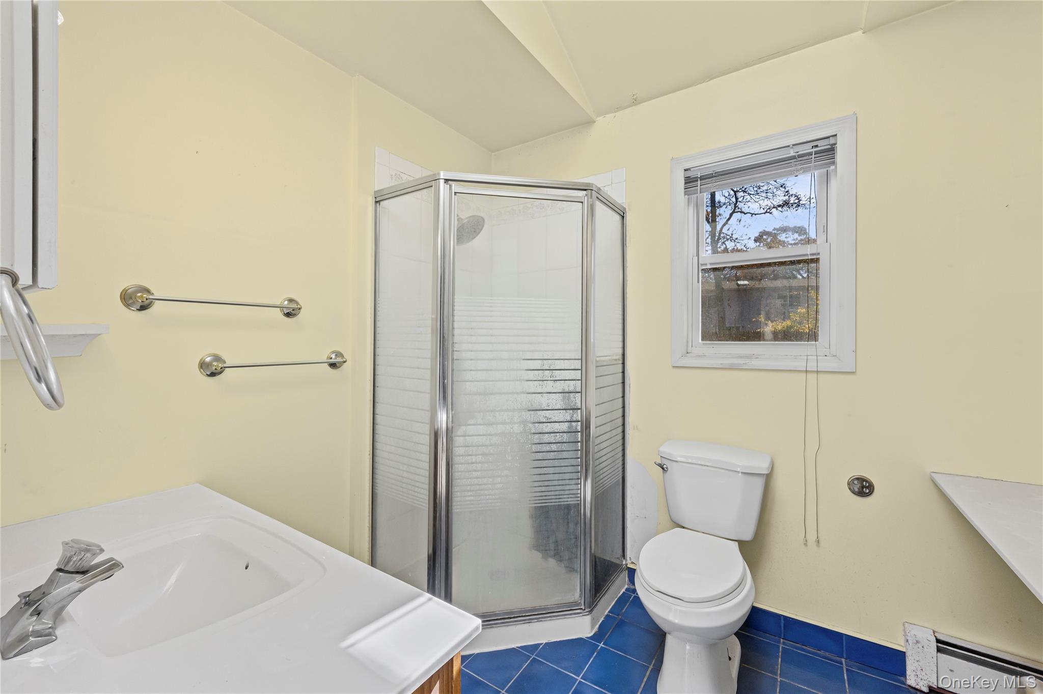 Single Family Queen  Suffolk County, NY 11789, MLS-936444-25