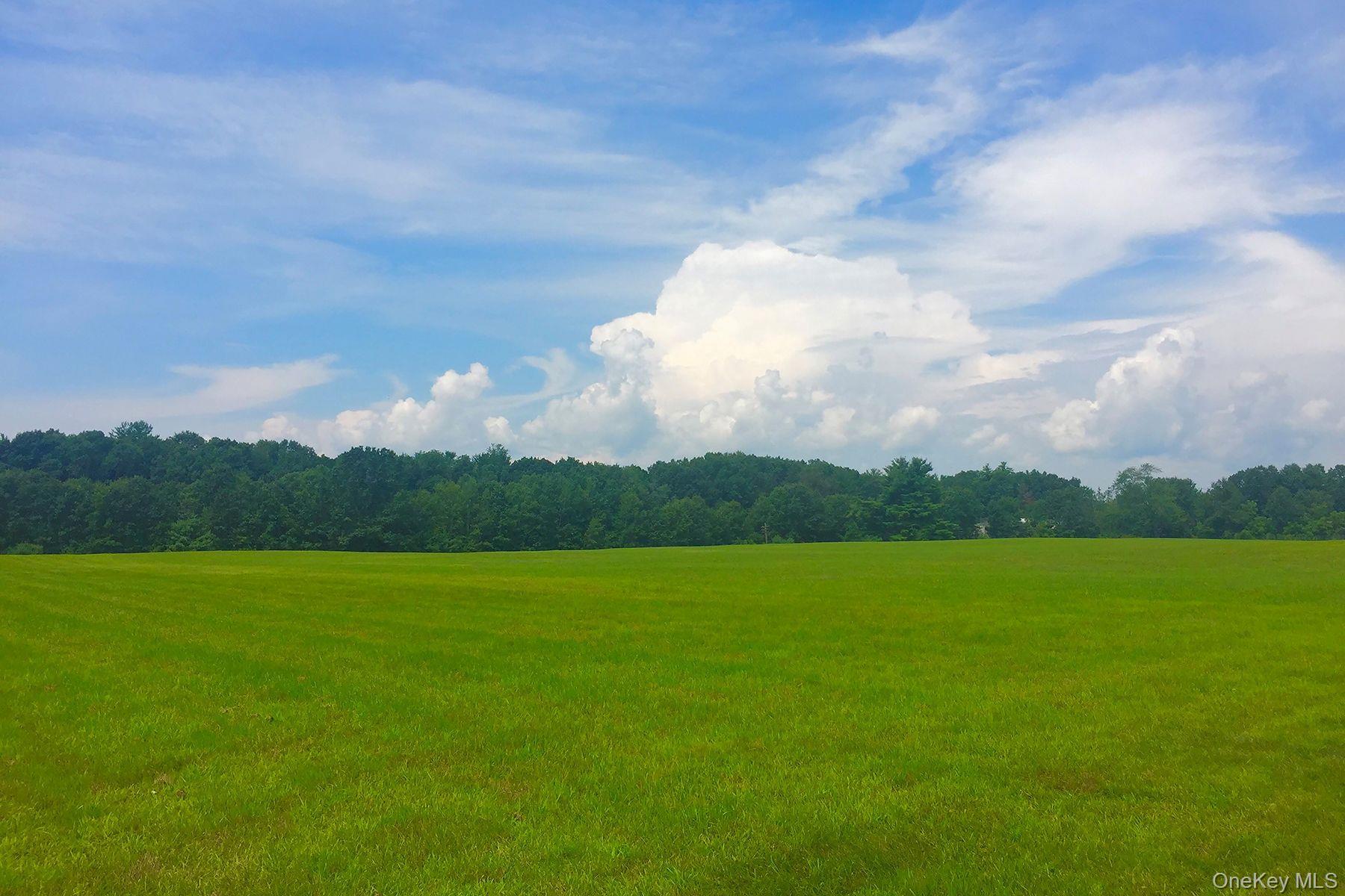 Single Family Geyser  Out Of Area, NY 12866, MLS-936454-25