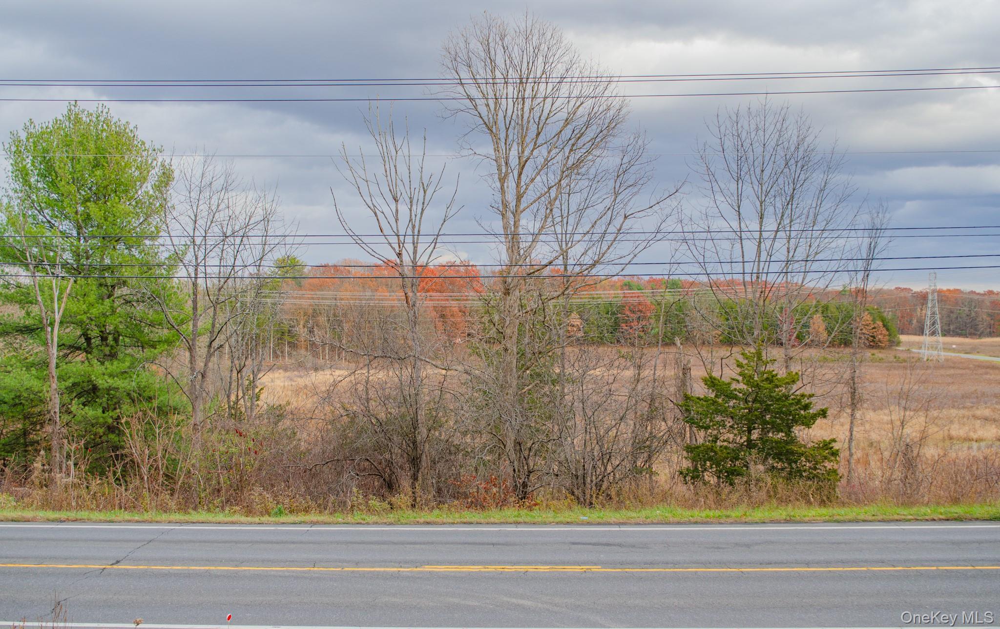 Single Family 9w  Greene County, NY 12015, MLS-936522-17