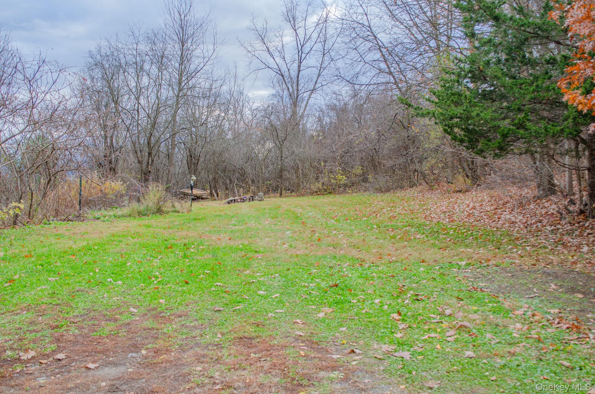 Single Family 9w  Greene County, NY 12015, MLS-936522-20