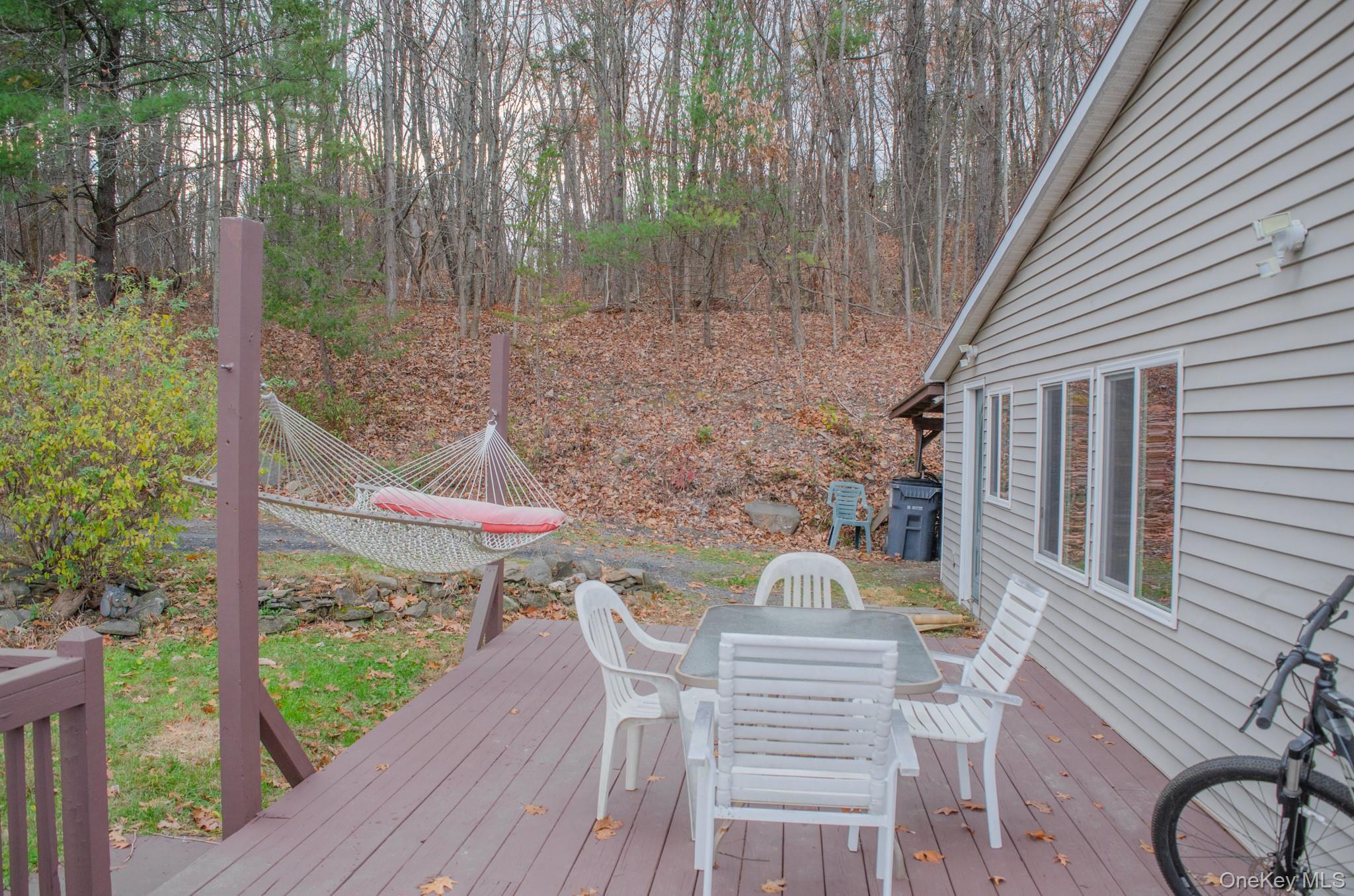 Single Family 9w  Greene County, NY 12015, MLS-936522-22