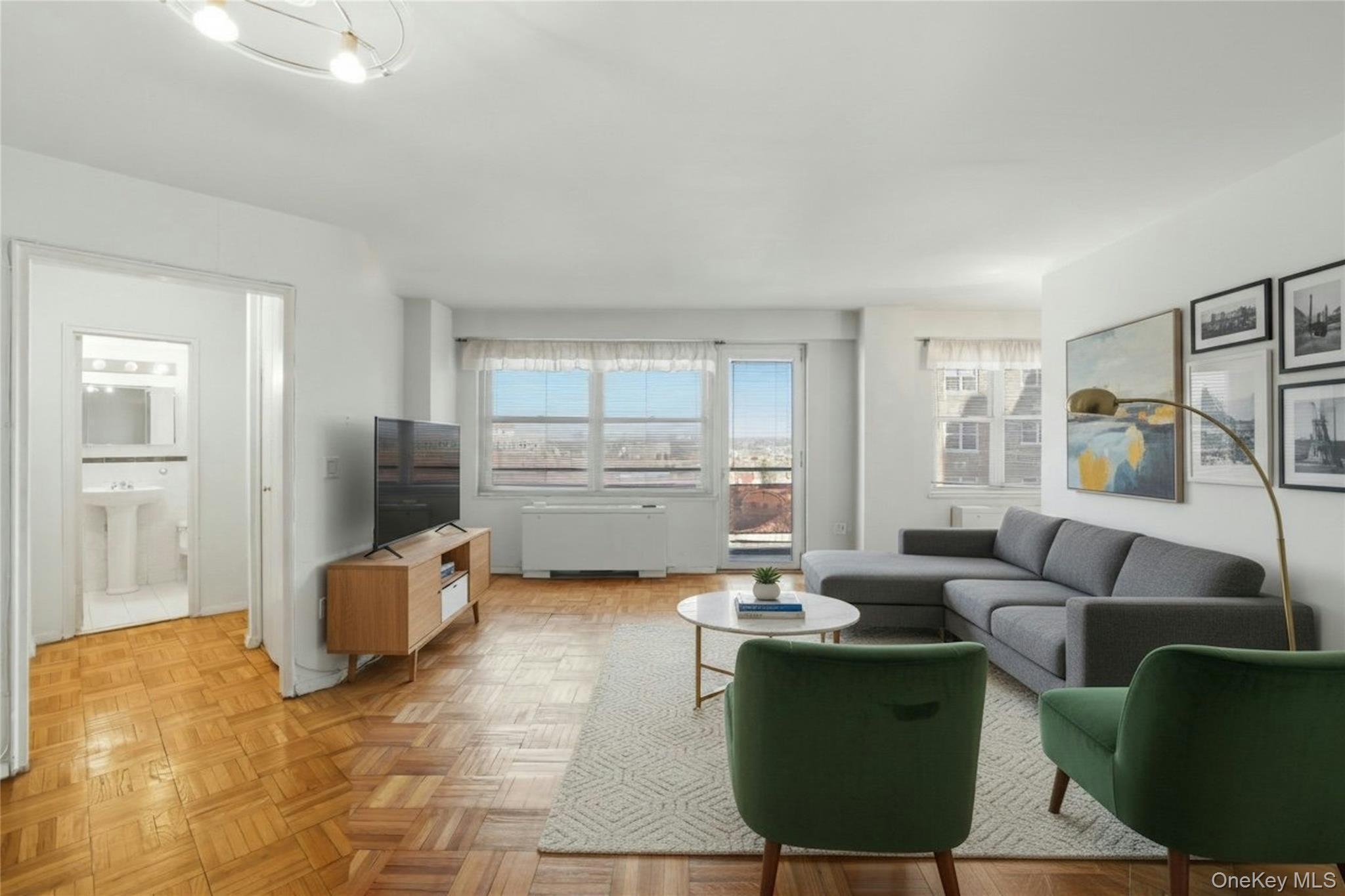 Coop 108th Queens, NY 11375, MLS-936584-10