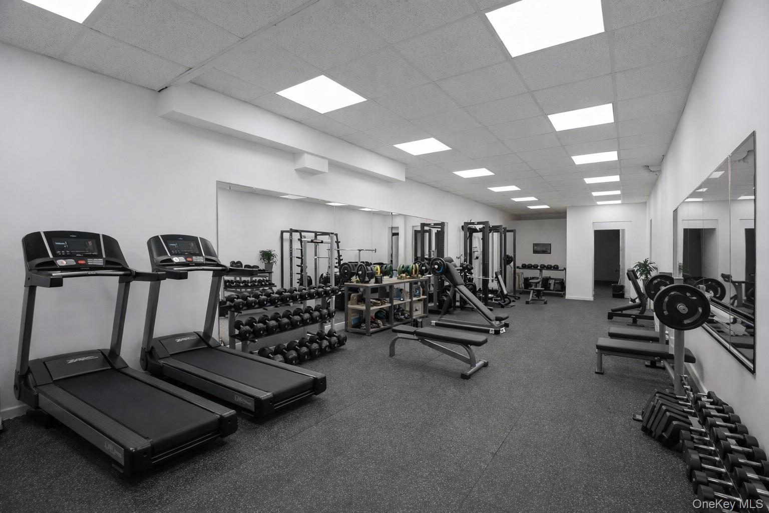 Commercial Lease 36  Queens, NY 11106, MLS-936616-18