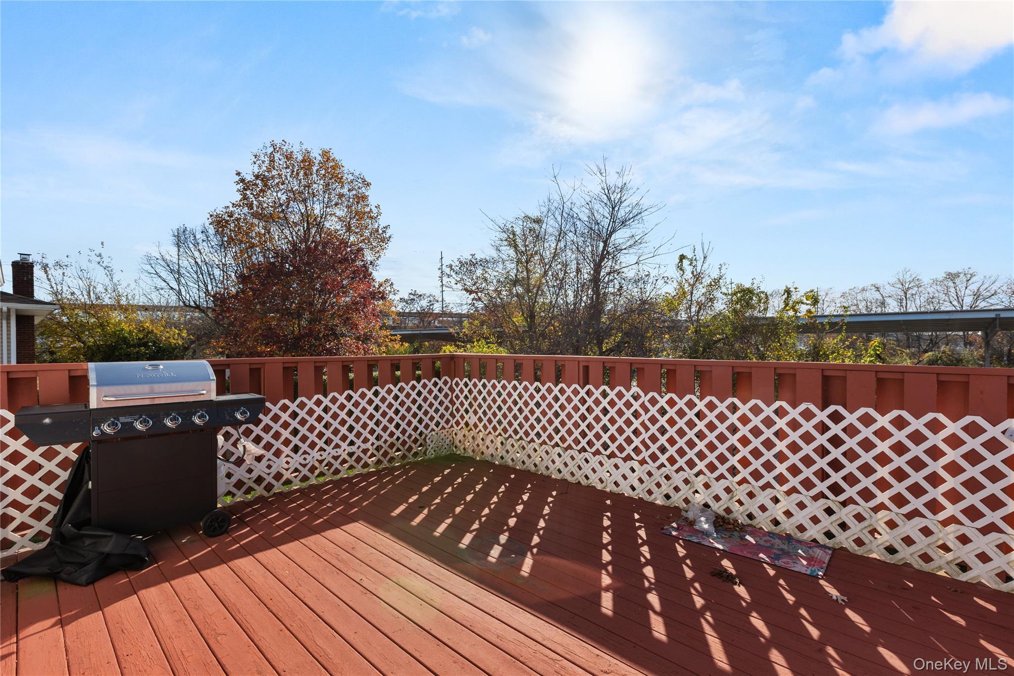 Single Family Alleghany Suffolk County, NY 11757, MLS-936622-10