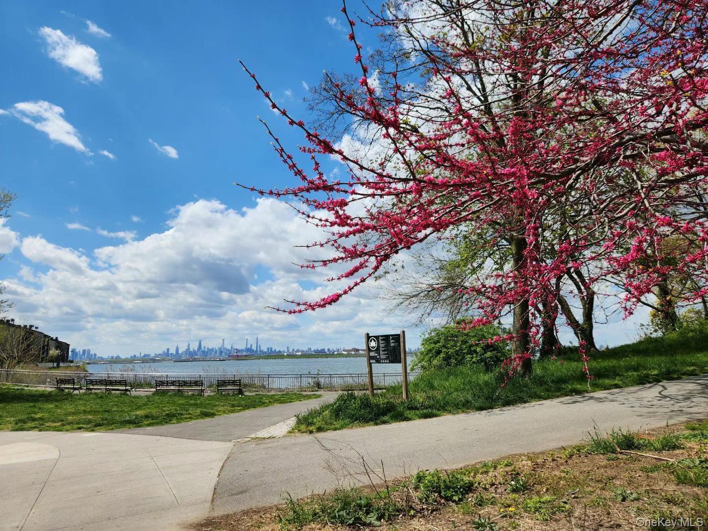 Single Family Poppenhusen  Queens, NY 11356, MLS-936748-3