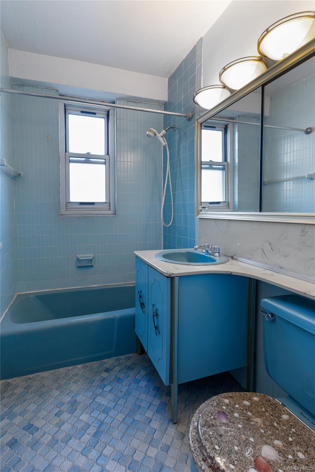 Coop Johnson  Bronx, NY 10463, MLS-936771-13