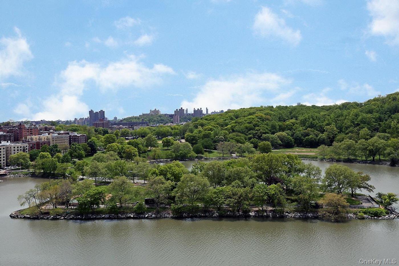 Coop Johnson  Bronx, NY 10463, MLS-936771-14