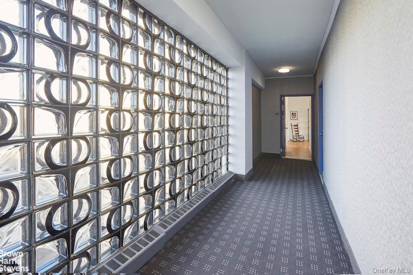 Coop Johnson  Bronx, NY 10463, MLS-936771-16