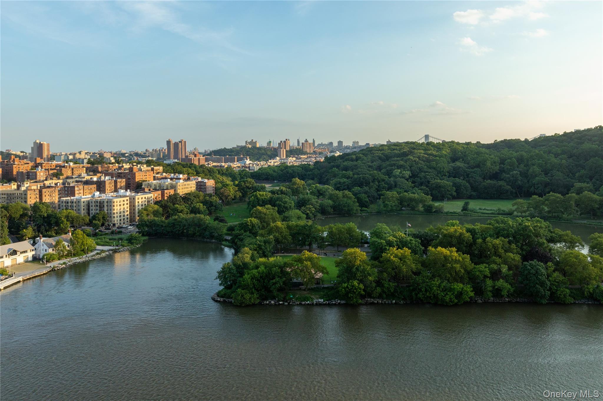 Coop Johnson  Bronx, NY 10463, MLS-936771-17