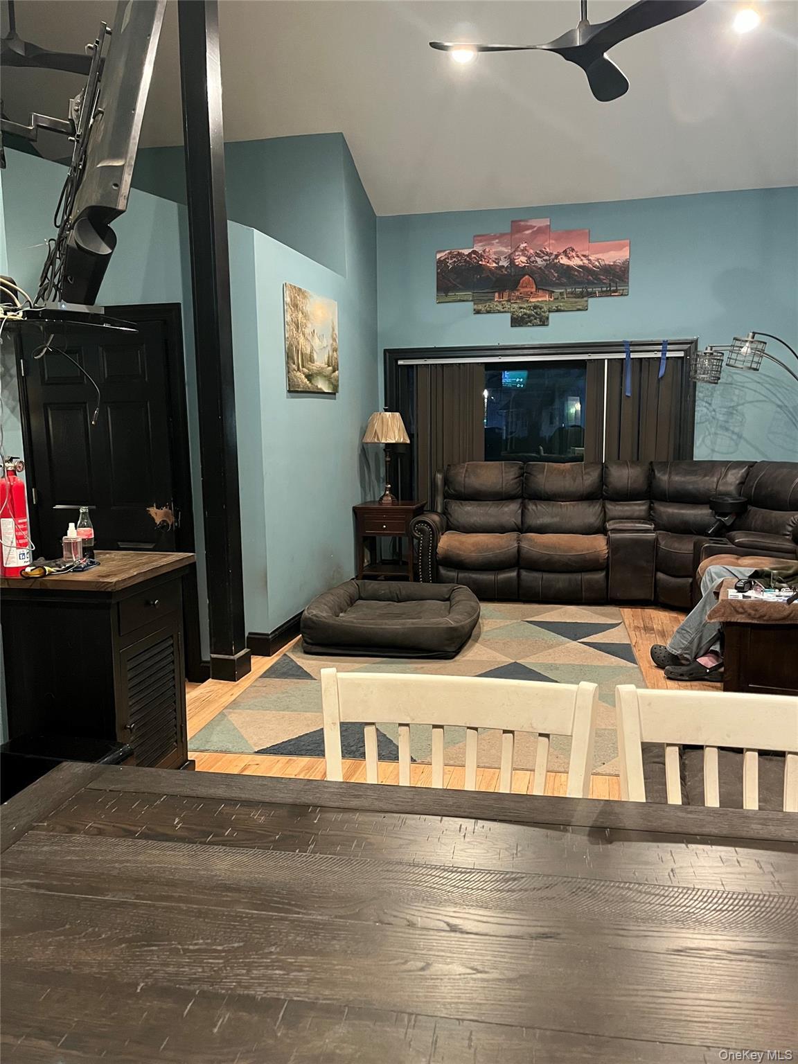 Single Family Lakeshore Nassau County, NY 11762, MLS-936786-7