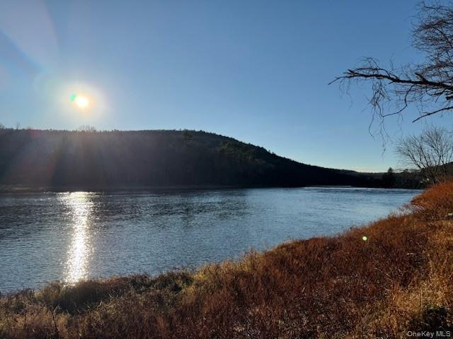 Single Family River Sullivan County, NY 12719, MLS-936937-10