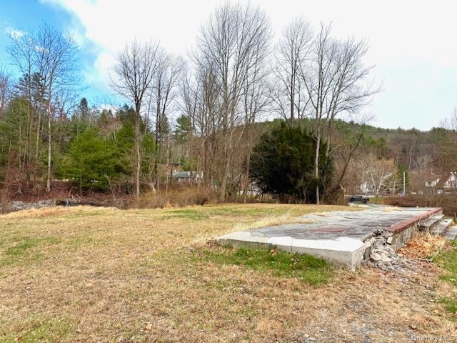 Single Family River Sullivan County, NY 12719, MLS-936937-5