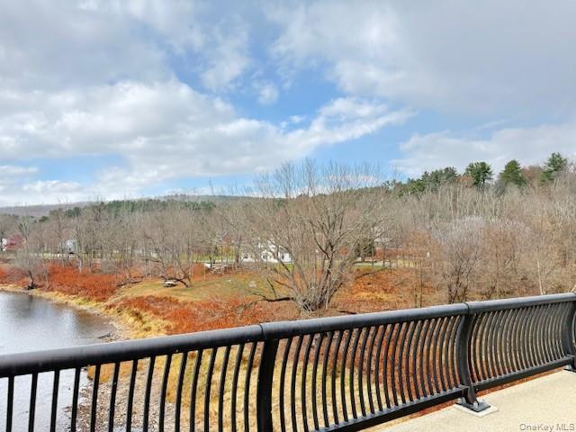 Single Family River Sullivan County, NY 12719, MLS-936937-6
