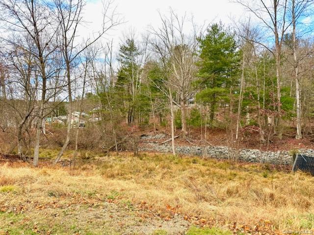 Single Family River Sullivan County, NY 12719, MLS-936937-7