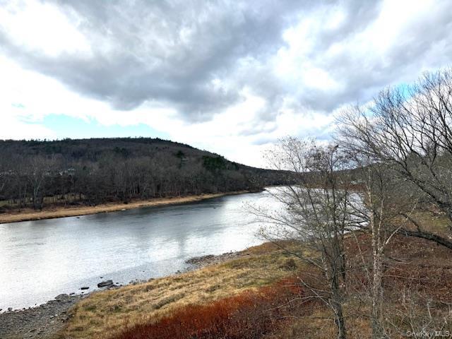 Single Family River Sullivan County, NY 12719, MLS-936937-8