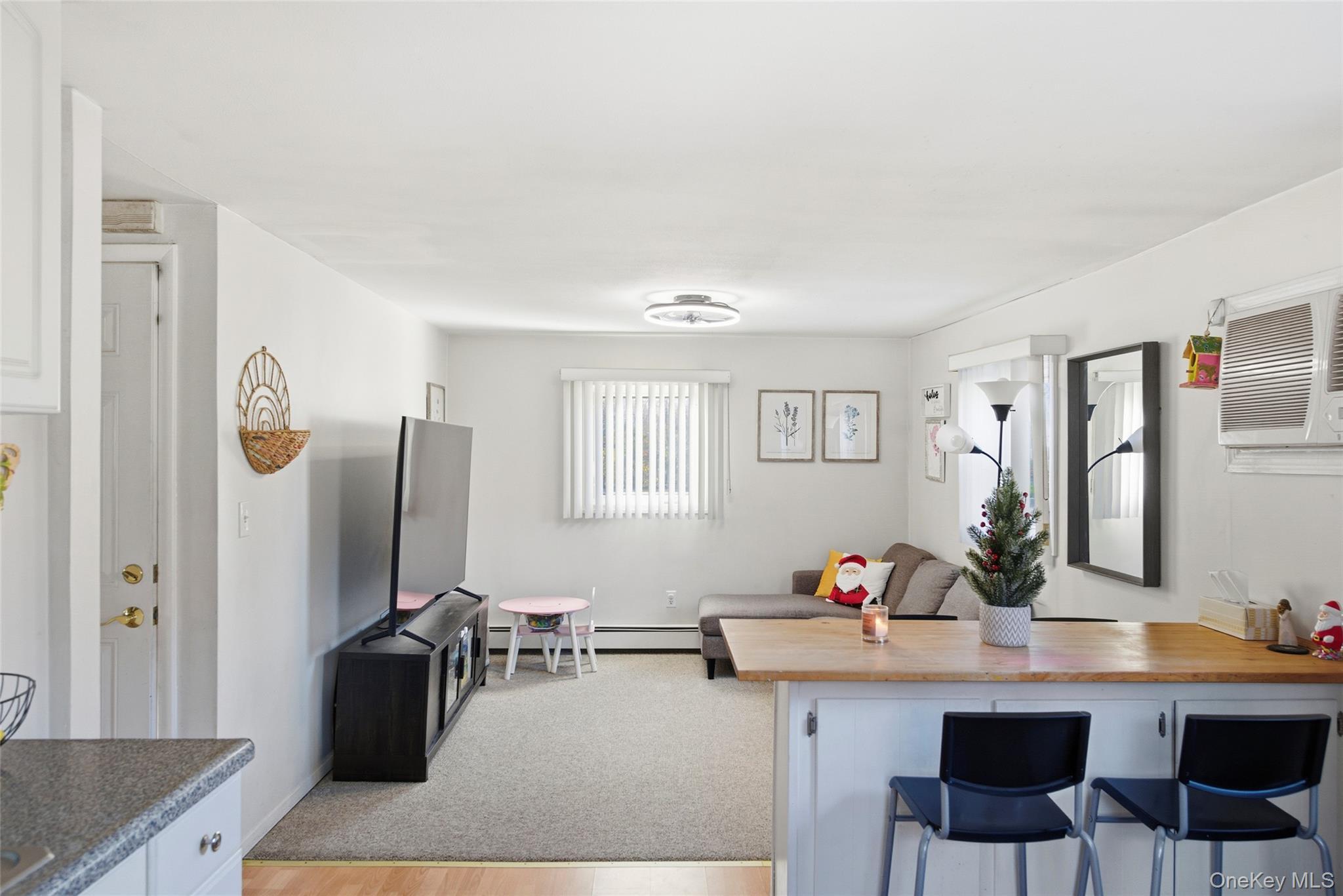 Single Family Urban Suffolk County, NY 11784, MLS-936973-24