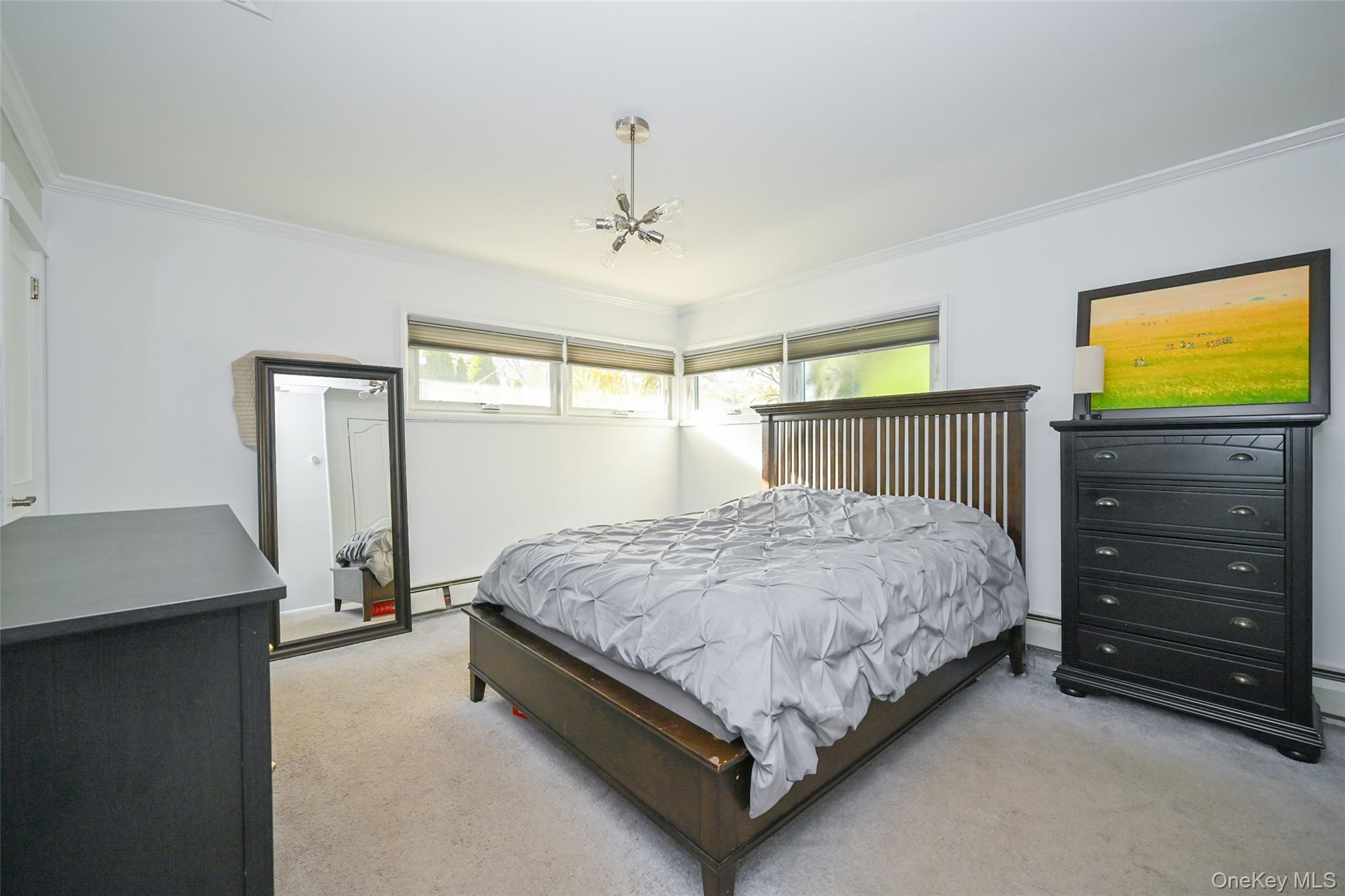 Single Family Meadow Nassau County, NY 11570, MLS-937004-18