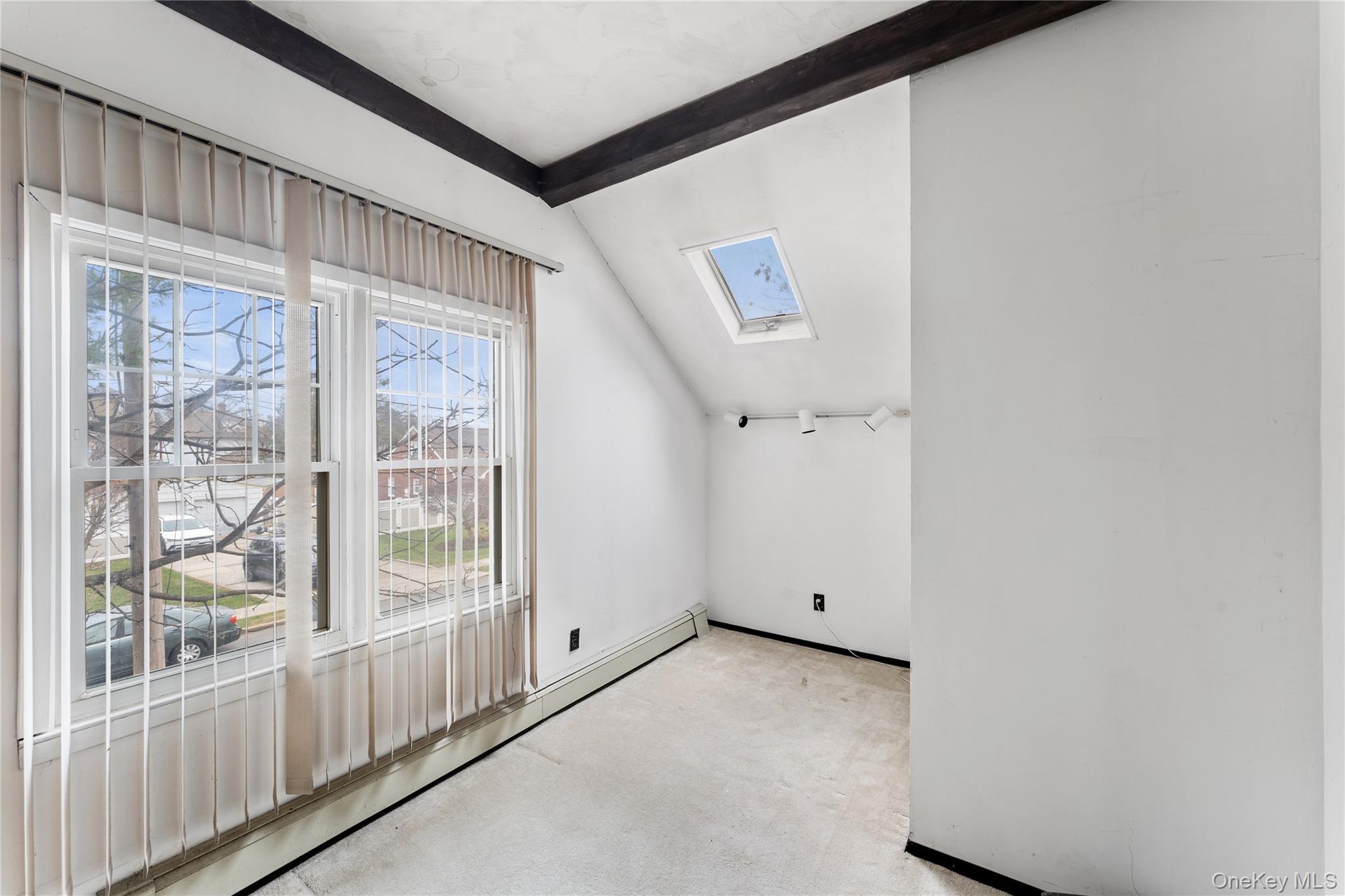 Single Family Lanier  Nassau County, NY 11590, MLS-937068-13