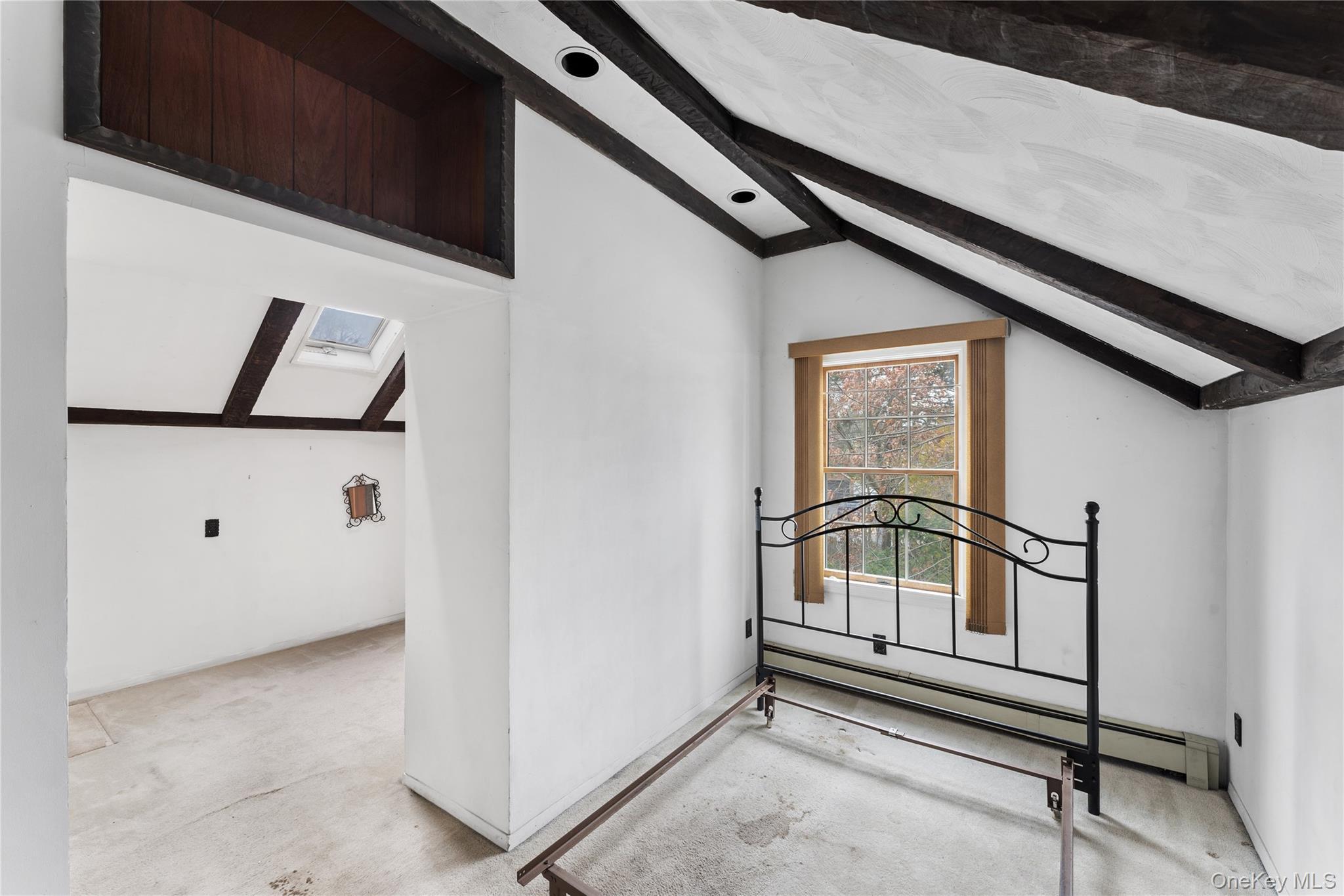 Single Family Lanier  Nassau County, NY 11590, MLS-937068-16