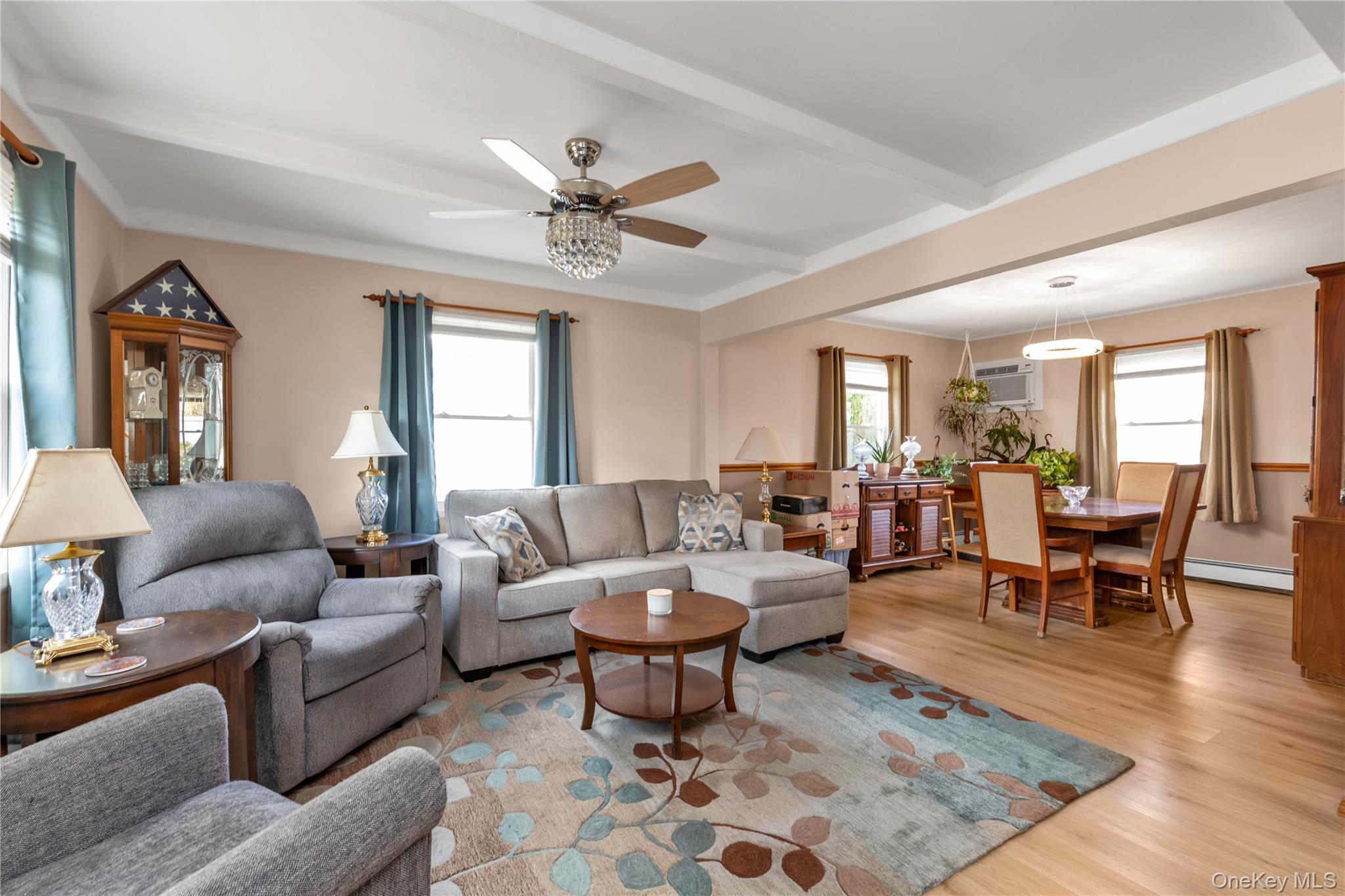 Single Family Gun Nassau County, NY 11756, MLS-937205-3