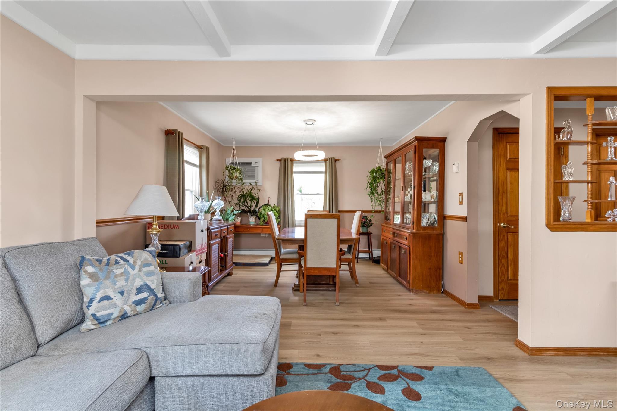 Single Family Gun Nassau County, NY 11756, MLS-937205-4