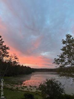 Single Family Dorm Sullivan County, NY 12747, MLS-937321-19