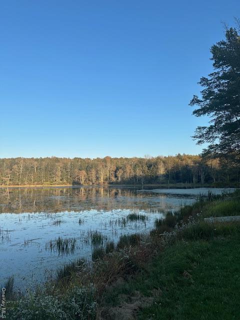 Single Family Dorm  Sullivan County, NY 12747, MLS-937321-21