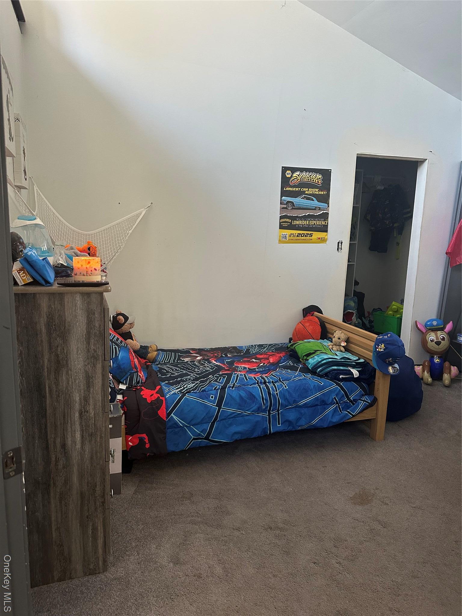 Single Family Dorm Sullivan County, NY 12747, MLS-937321-7